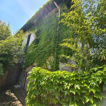 Apartment Mon Cocon Douillet Au Calme - Pres De Nice - Avec Jardin Et Clim *
